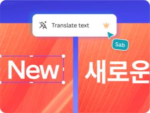 12_AISection_Translate